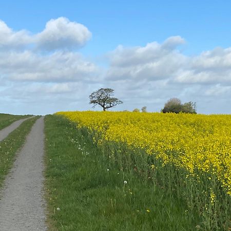 Blomstertantens Hus 特雷勒堡 外观 照片