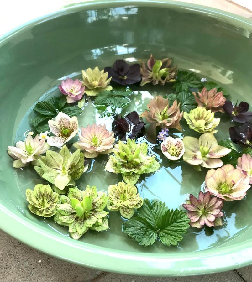 Blomstertantens Hus 特雷勒堡 外观 照片