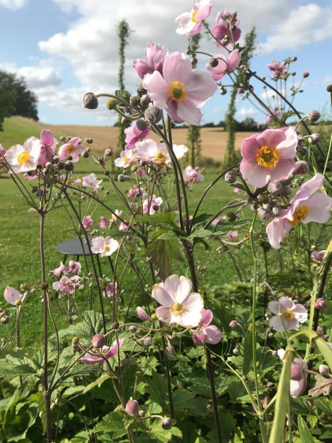 Blomstertantens Hus 特雷勒堡 外观 照片