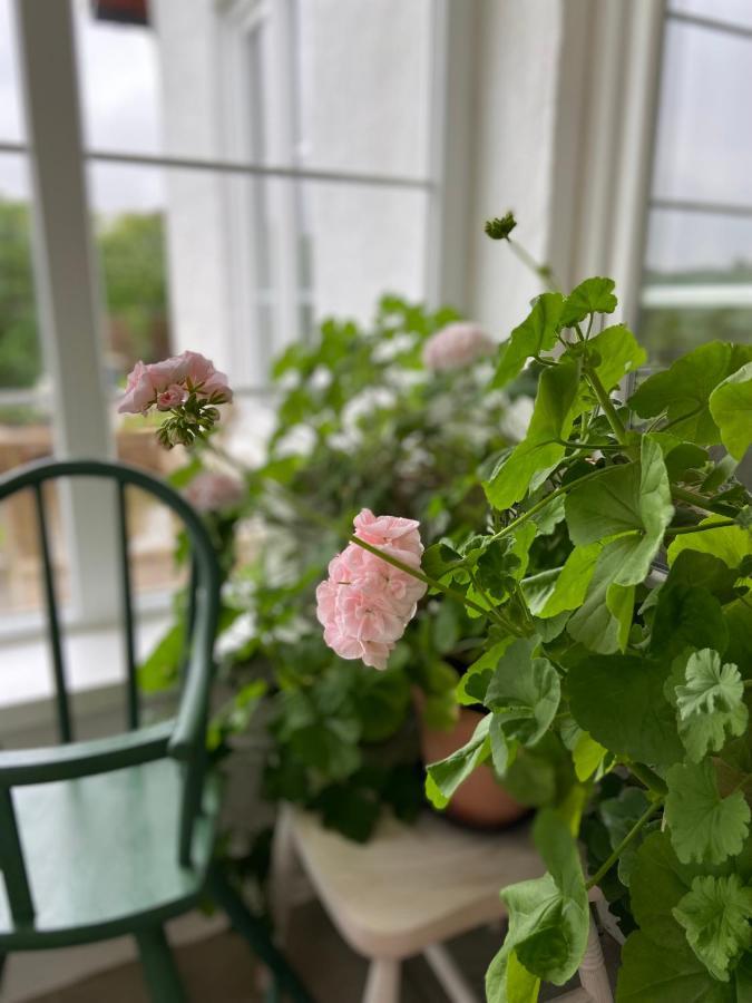 Blomstertantens Hus 特雷勒堡 外观 照片