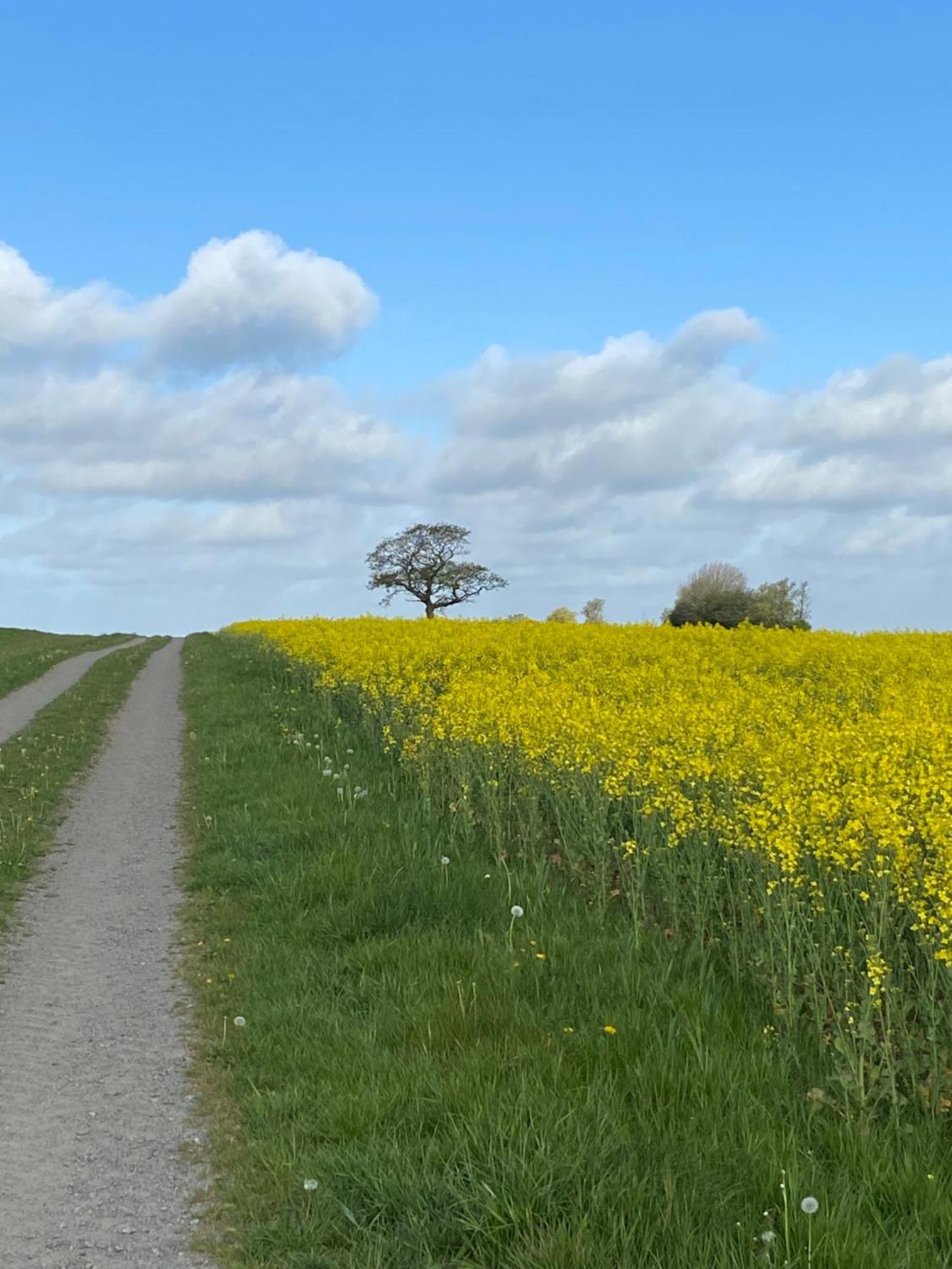 Blomstertantens Hus 特雷勒堡 外观 照片
