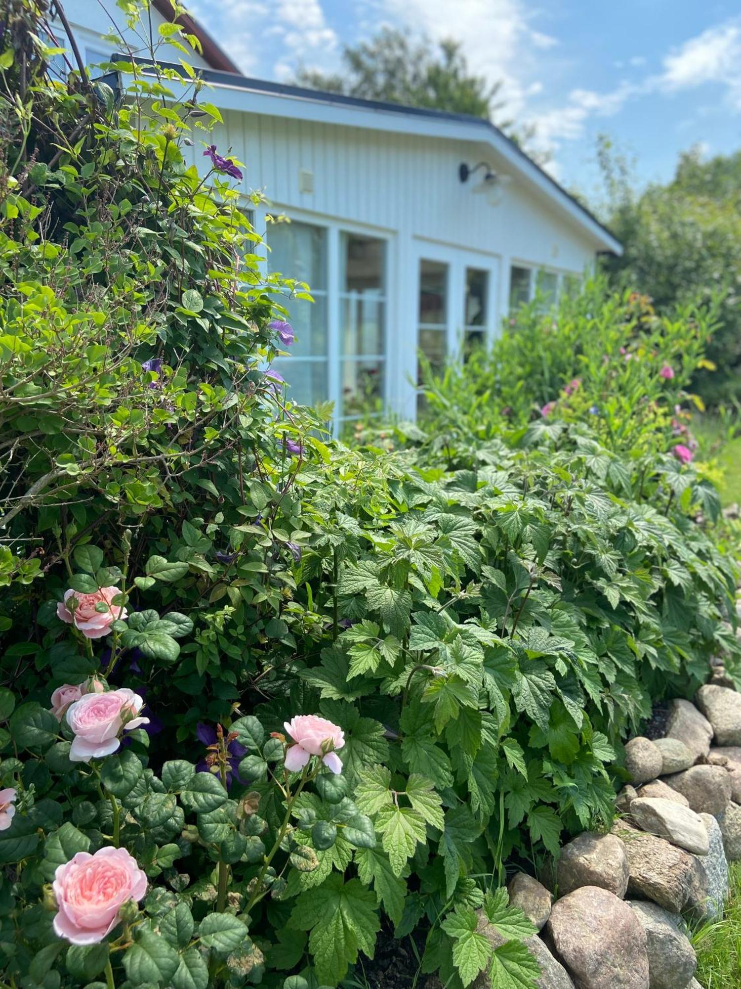 Blomstertantens Hus 特雷勒堡 外观 照片