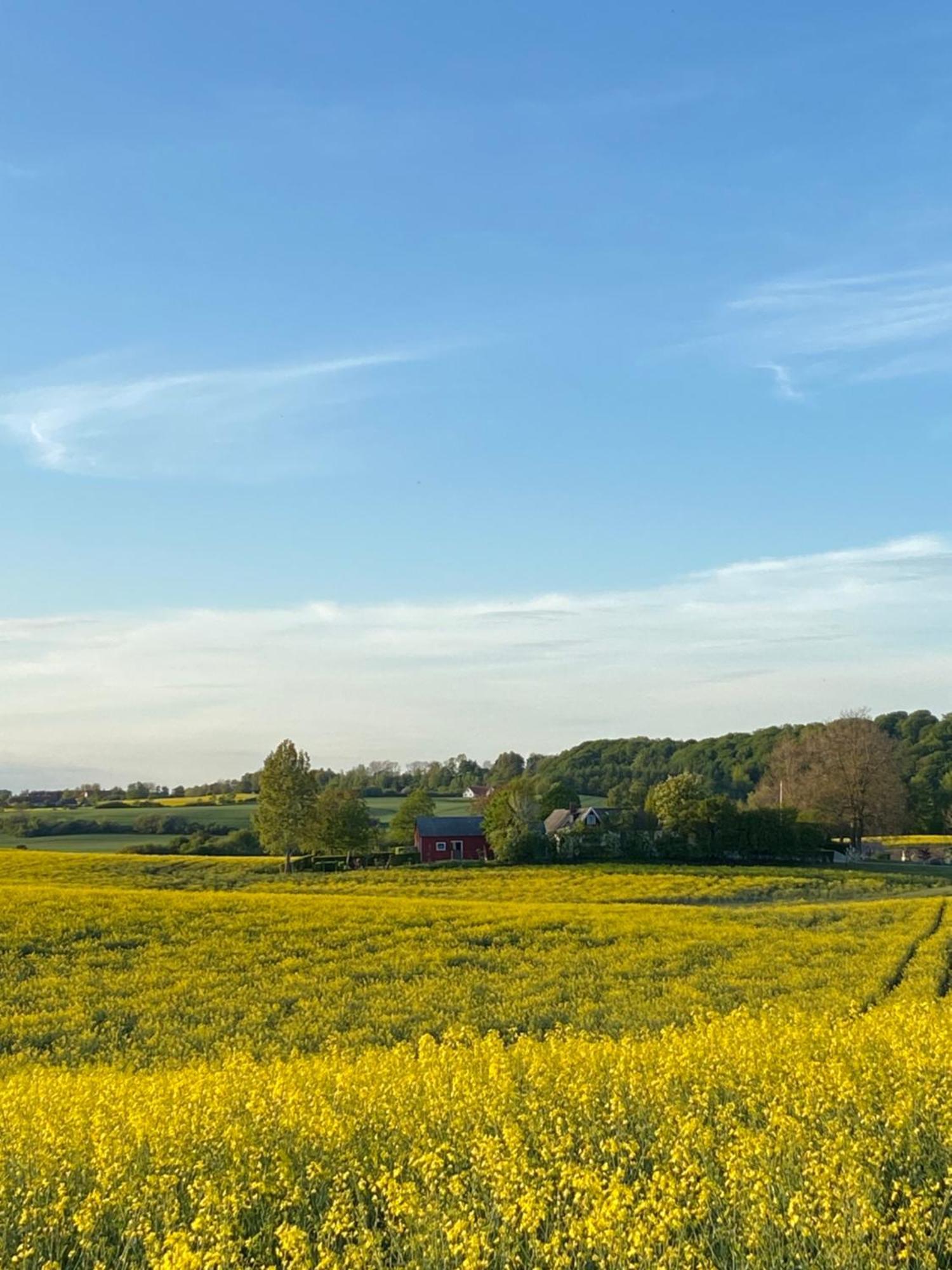 Blomstertantens Hus 特雷勒堡 外观 照片