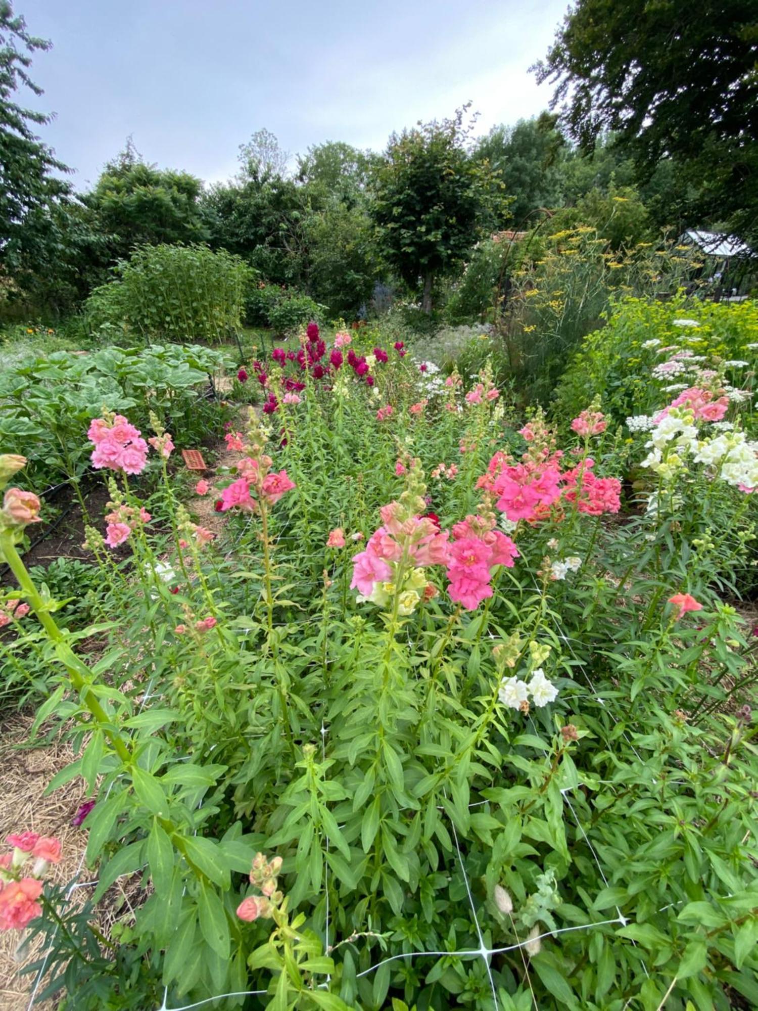 Blomstertantens Hus 特雷勒堡 外观 照片