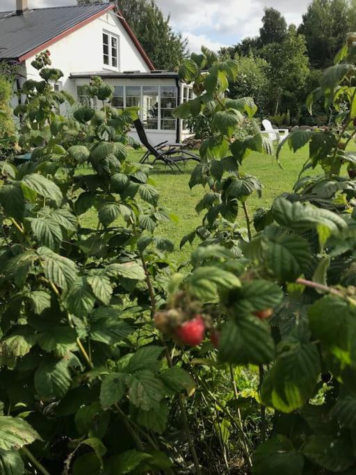 Blomstertantens Hus 特雷勒堡 外观 照片