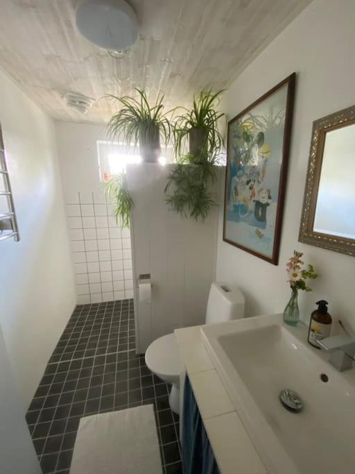 Blomstertantens Hus 特雷勒堡 外观 照片